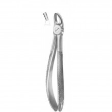 Dental Instruments