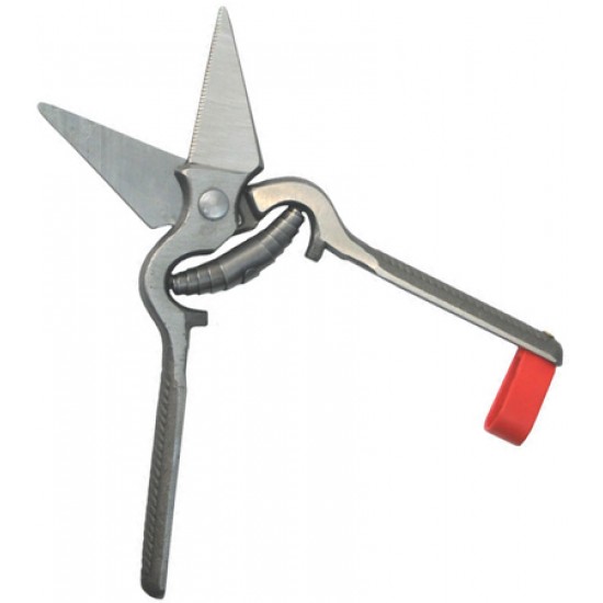   Foot Rot Shears